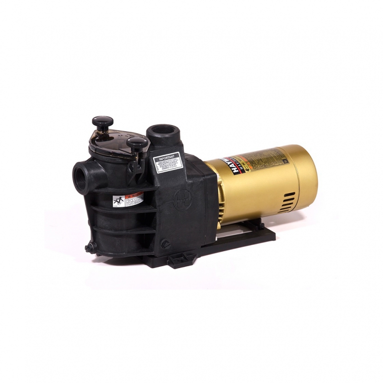Hayward MaxFlo Pump